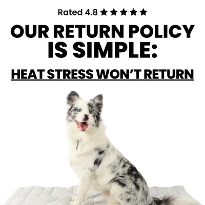 Dog Cooling Mat