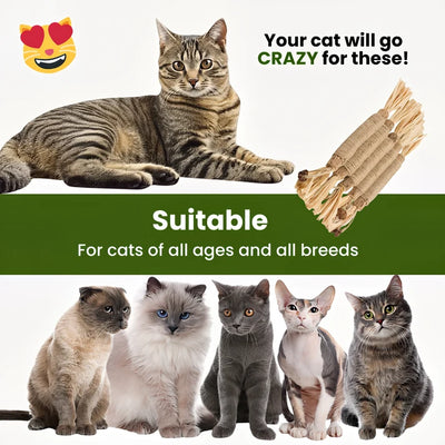 Pawvitacore Natural Silverline Dental Sticks