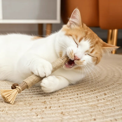 Pawvitacore Natural Silverline Dental Sticks