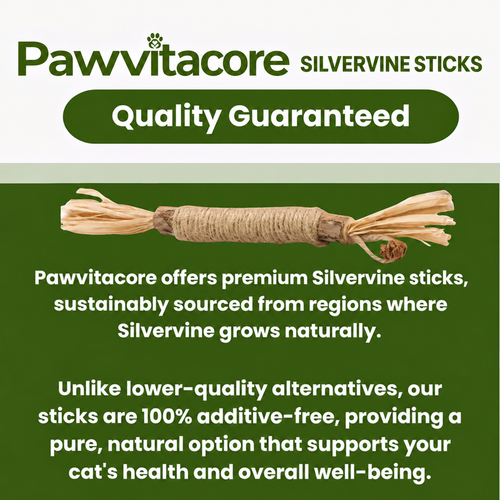Pawvitacore Natural Silverline Dental Sticks