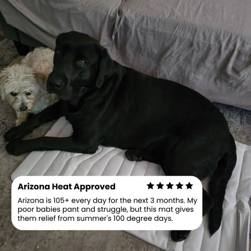 Dog Cooling Mat